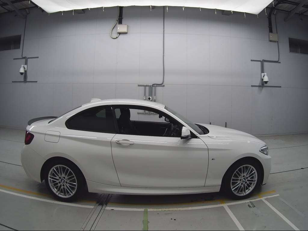 2014 BMW 2 Series 1J20[2]