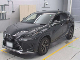 2021 Lexus NX