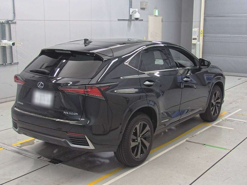 2021 Lexus NX AYZ10[1]