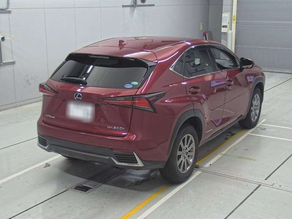 2018 Lexus NX AYZ10[1]