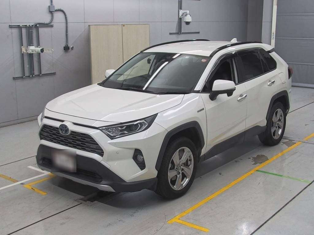 2019 Toyota RAV4 AXAH54[0]