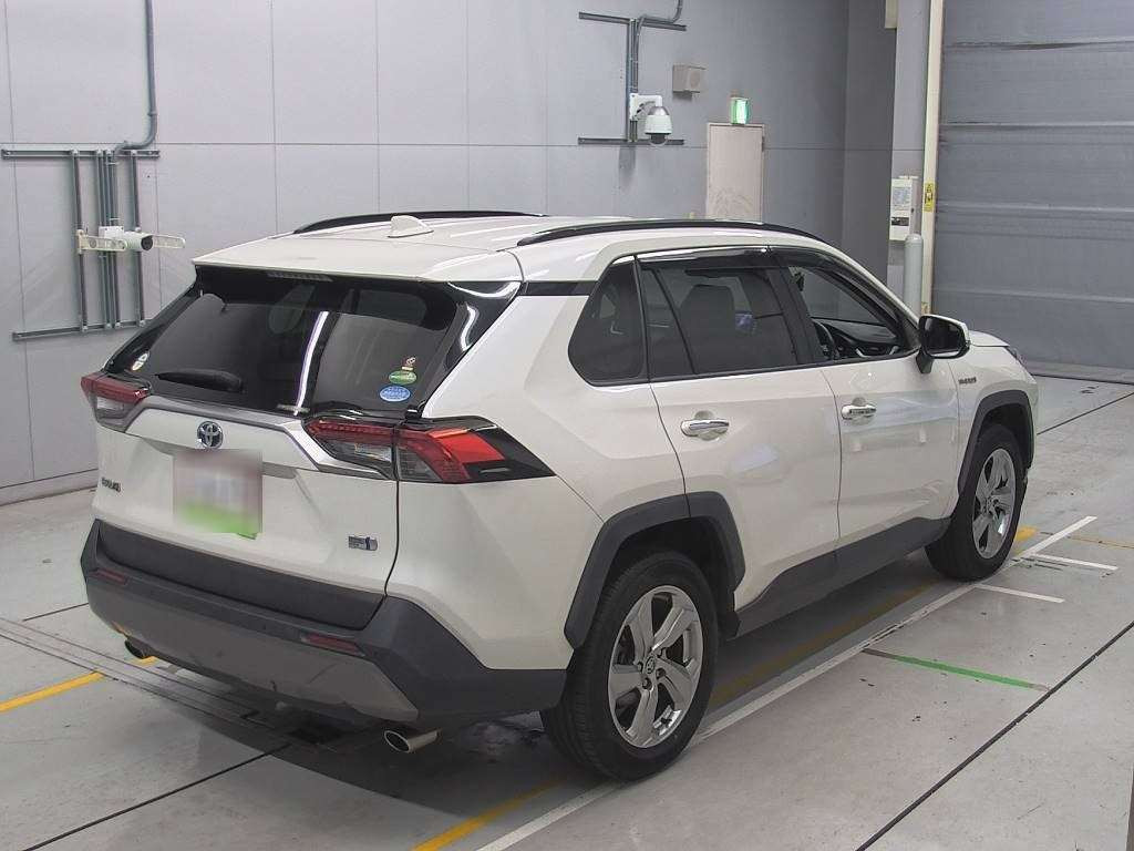 2019 Toyota RAV4 AXAH54[1]