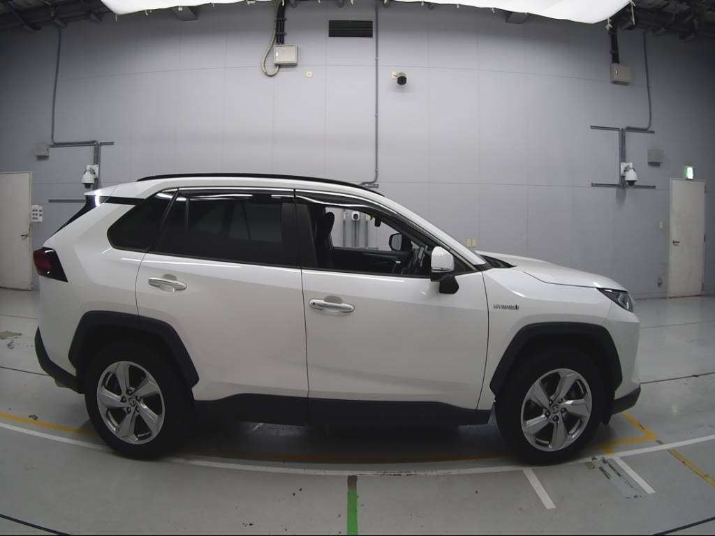 2019 Toyota RAV4 AXAH54[2]