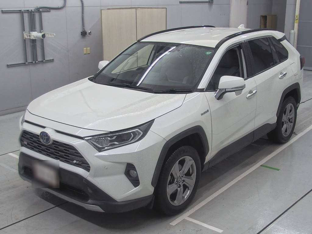 2020 Toyota RAV4 AXAH54[0]