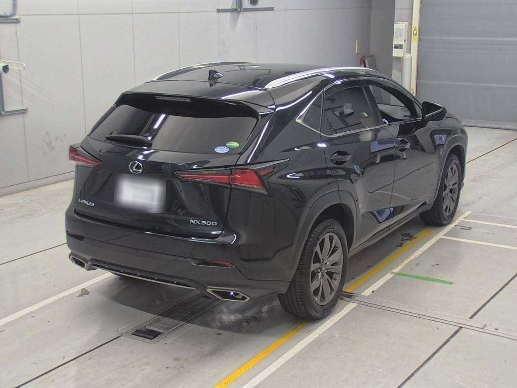 2018 Lexus NX AGZ15[1]