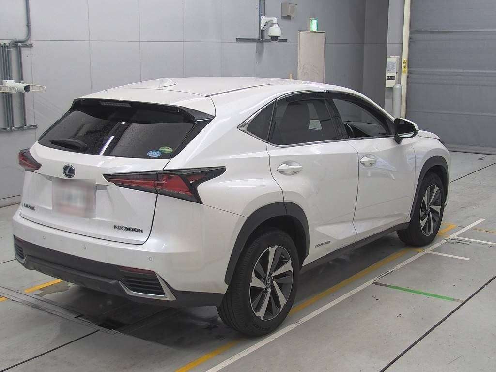 2019 Lexus NX AYZ10[1]