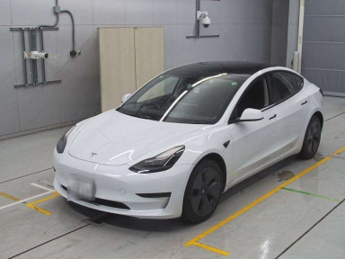 2021 Others MODEL 3