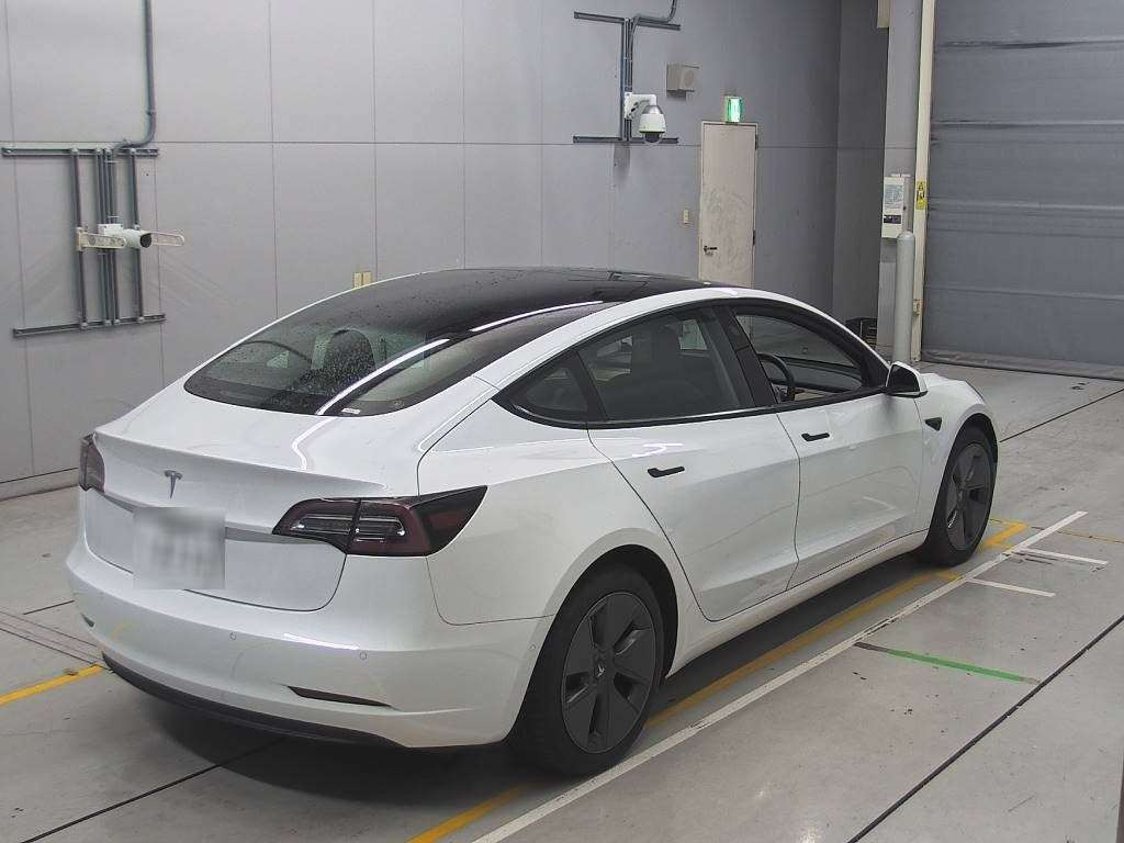 2021 Others MODEL 3 3L13B[1]