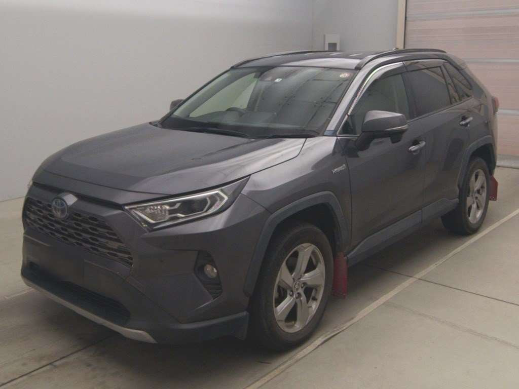 2019 Toyota RAV4 AXAH54[0]