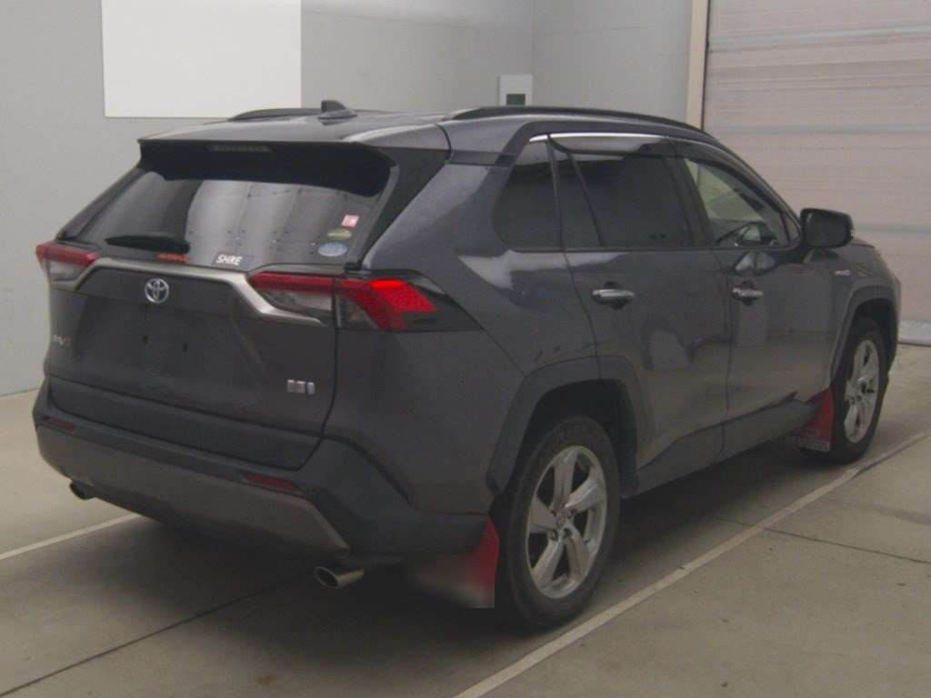 2019 Toyota RAV4 AXAH54[1]