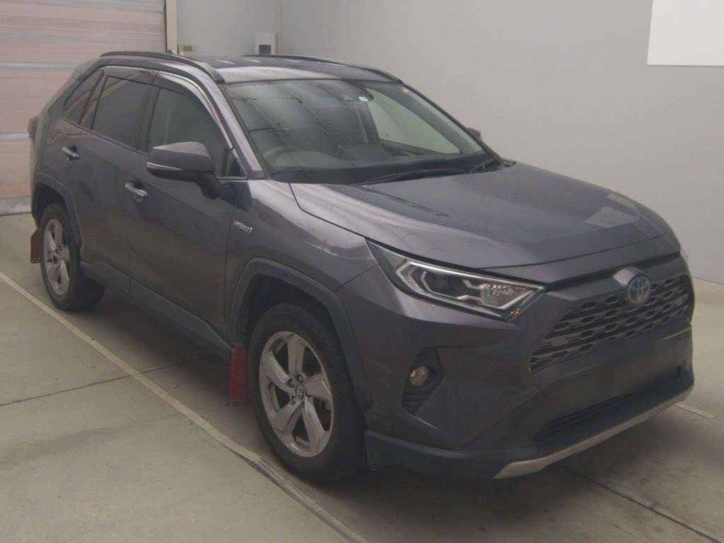 2019 Toyota RAV4 AXAH54[2]