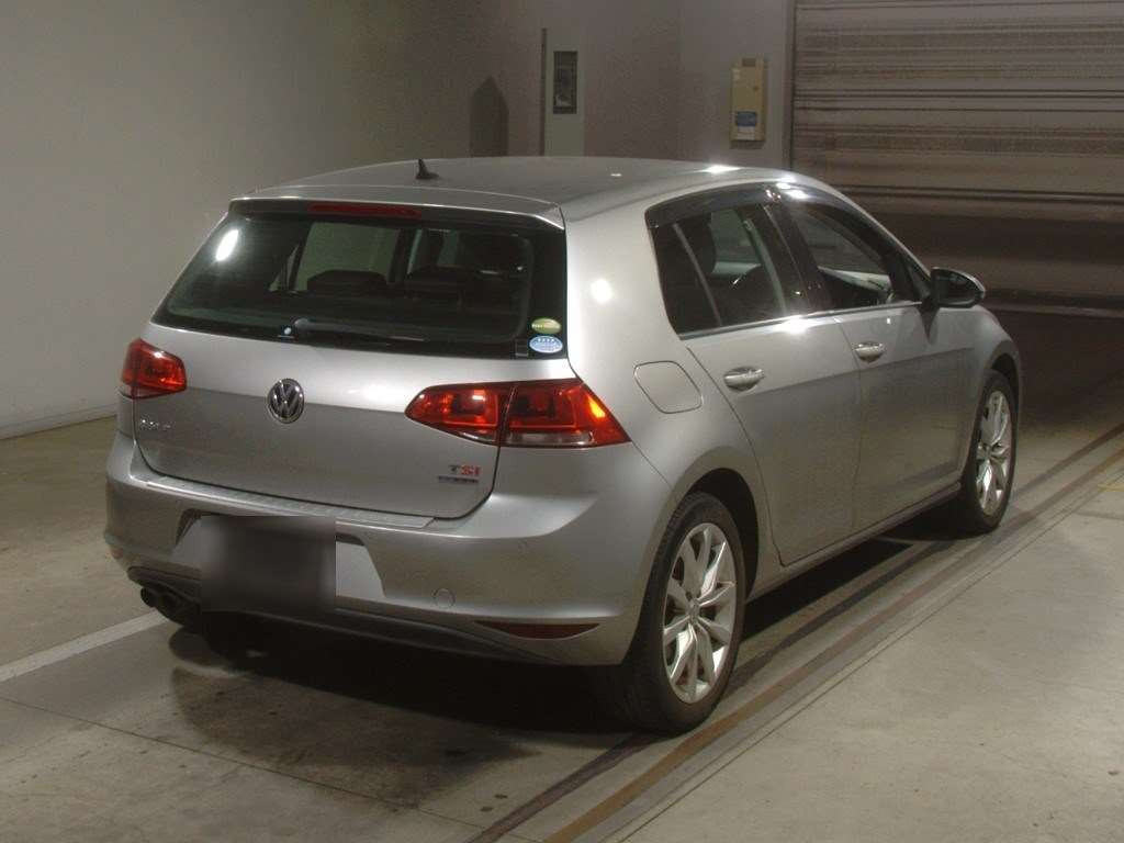 2013 Volkswagen Golf AUCPT[1]