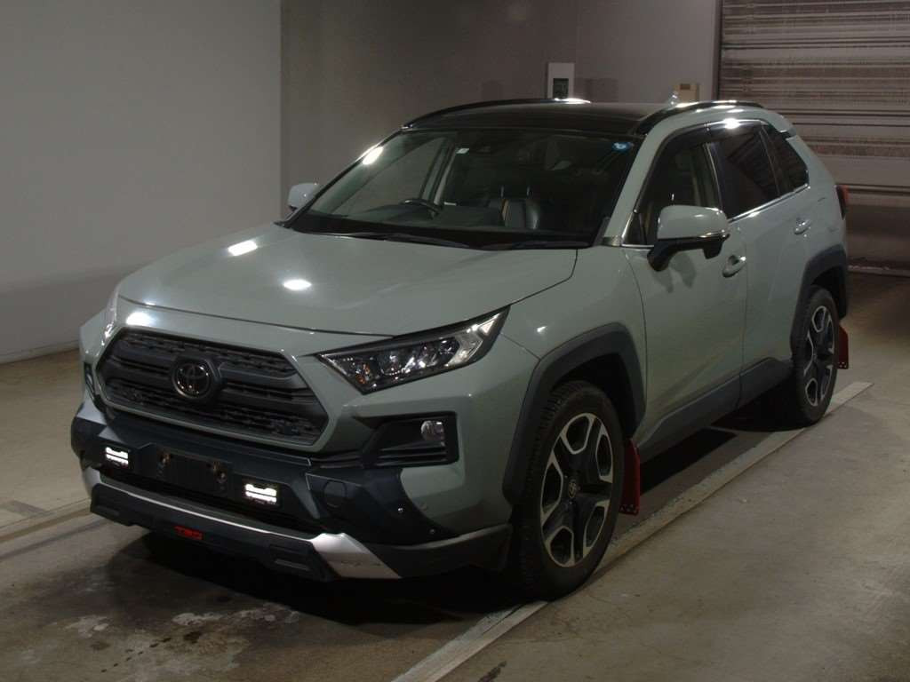 2019 Toyota RAV4 MXAA54[0]