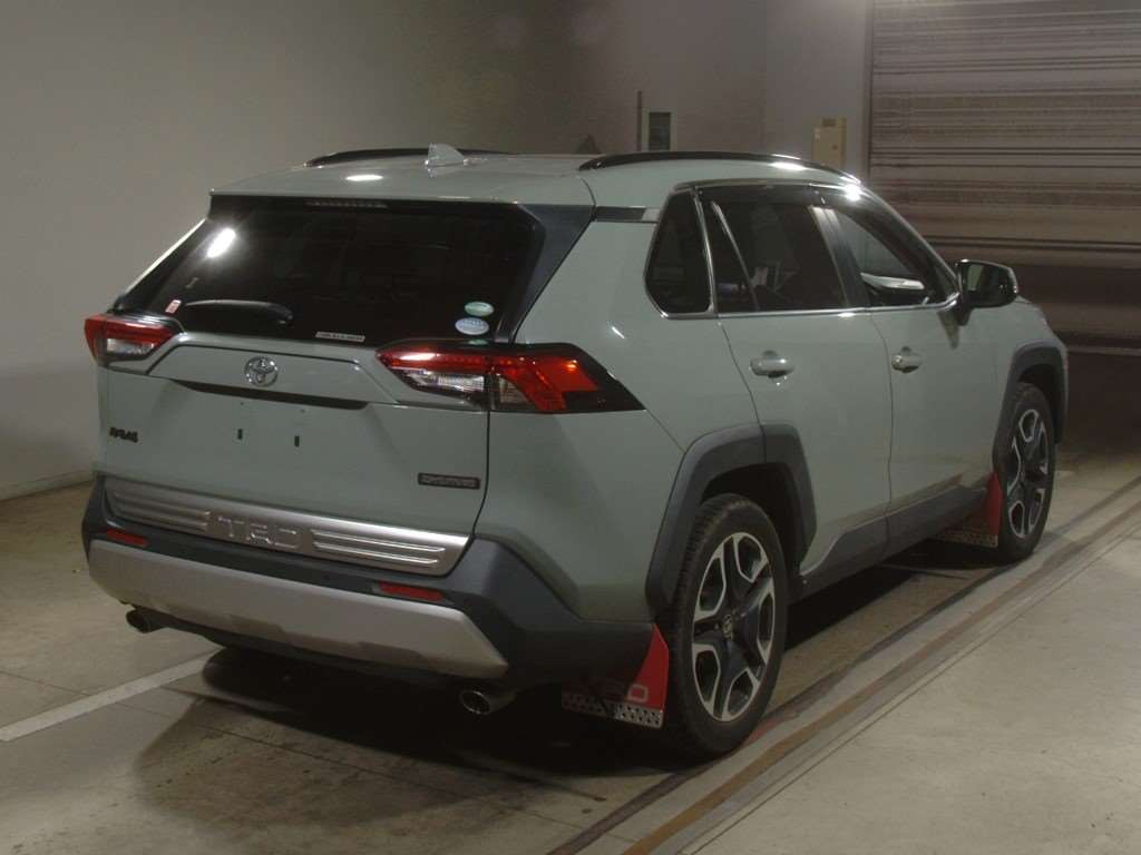 2019 Toyota RAV4 MXAA54[1]