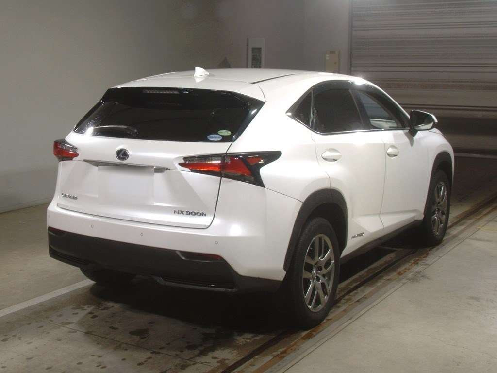 2014 Lexus NX AYZ15[1]