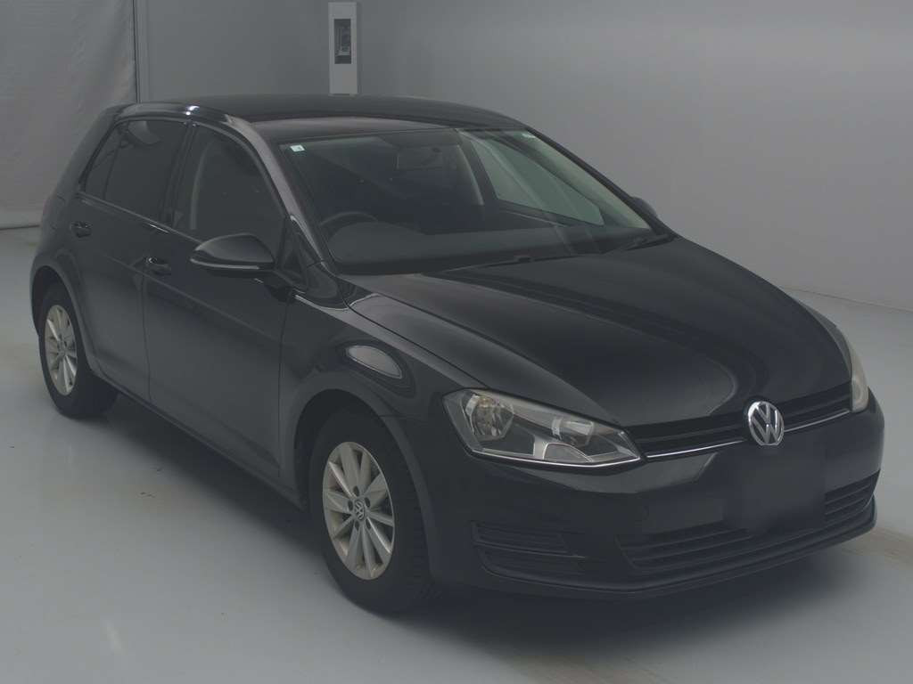 2014 Volkswagen Golf AUCJZ[2]