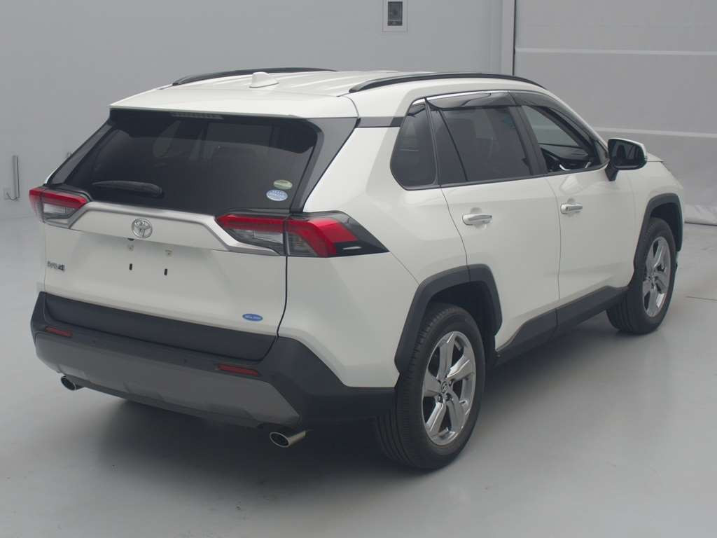 2019 Toyota RAV4 MXAA54[1]