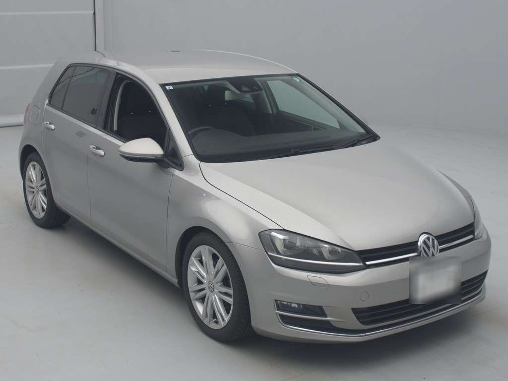 2013 Volkswagen Golf AUCPT[2]