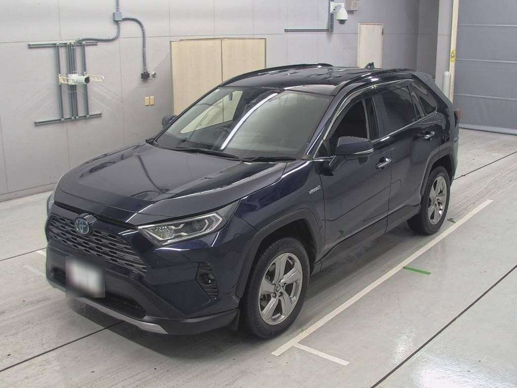 2019 Toyota RAV4 AXAH54[0]