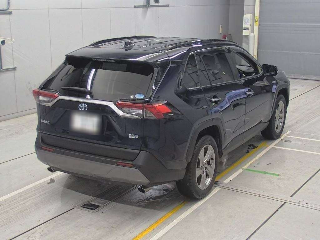 2019 Toyota RAV4 AXAH54[1]