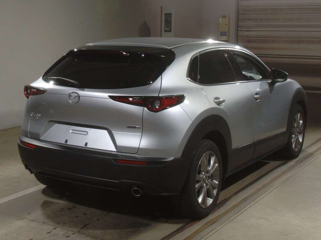 2019 Mazda CX-30 DM8P[1]