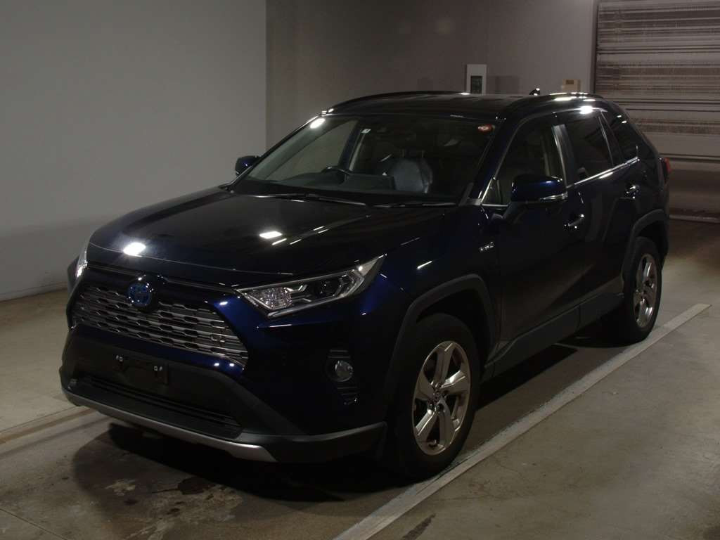 2019 Toyota RAV4 AXAH54[0]