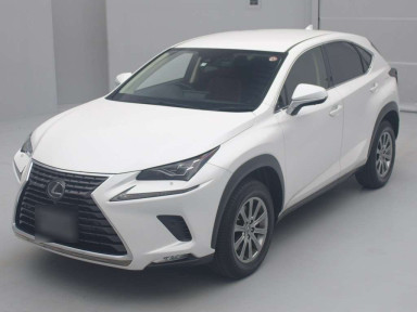 2019 Lexus NX