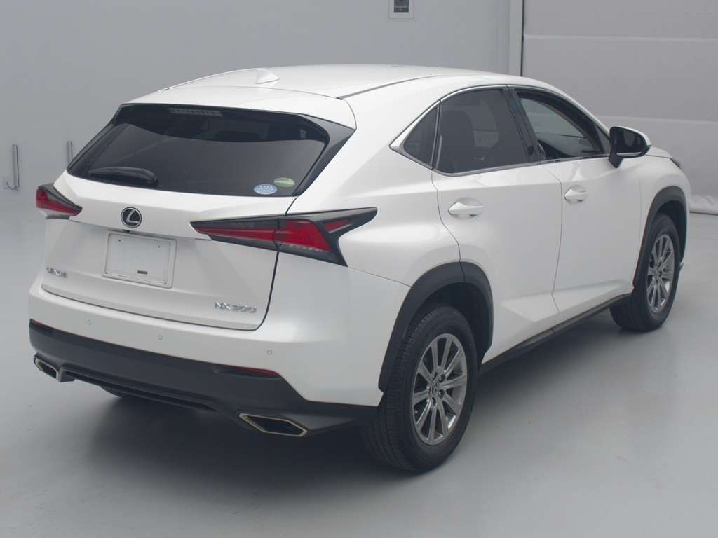 2019 Lexus NX AGZ15[1]