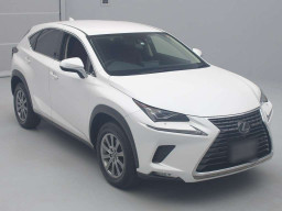 2019 Lexus NX