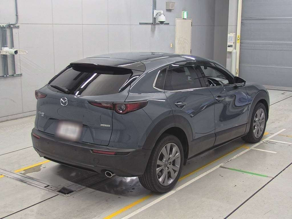 2020 Mazda CX-30 DM8P[1]