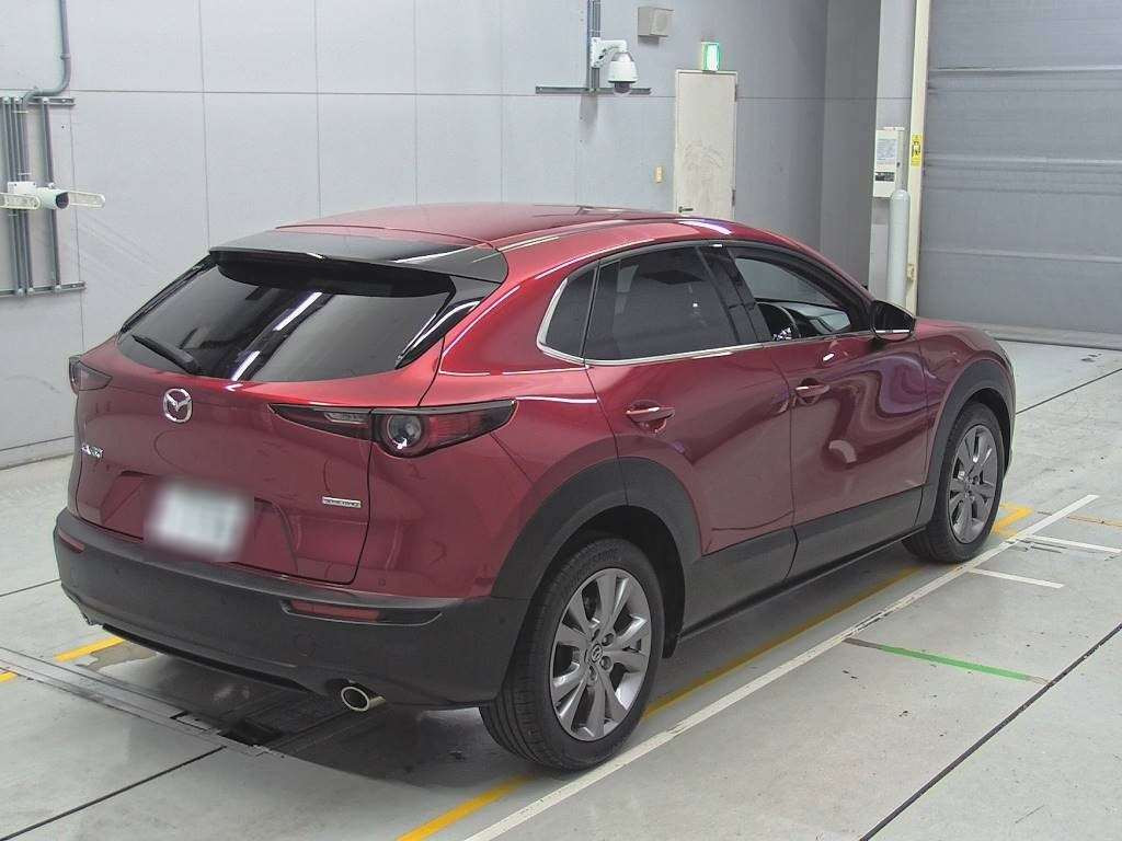 2019 Mazda CX-30 DMEP[1]