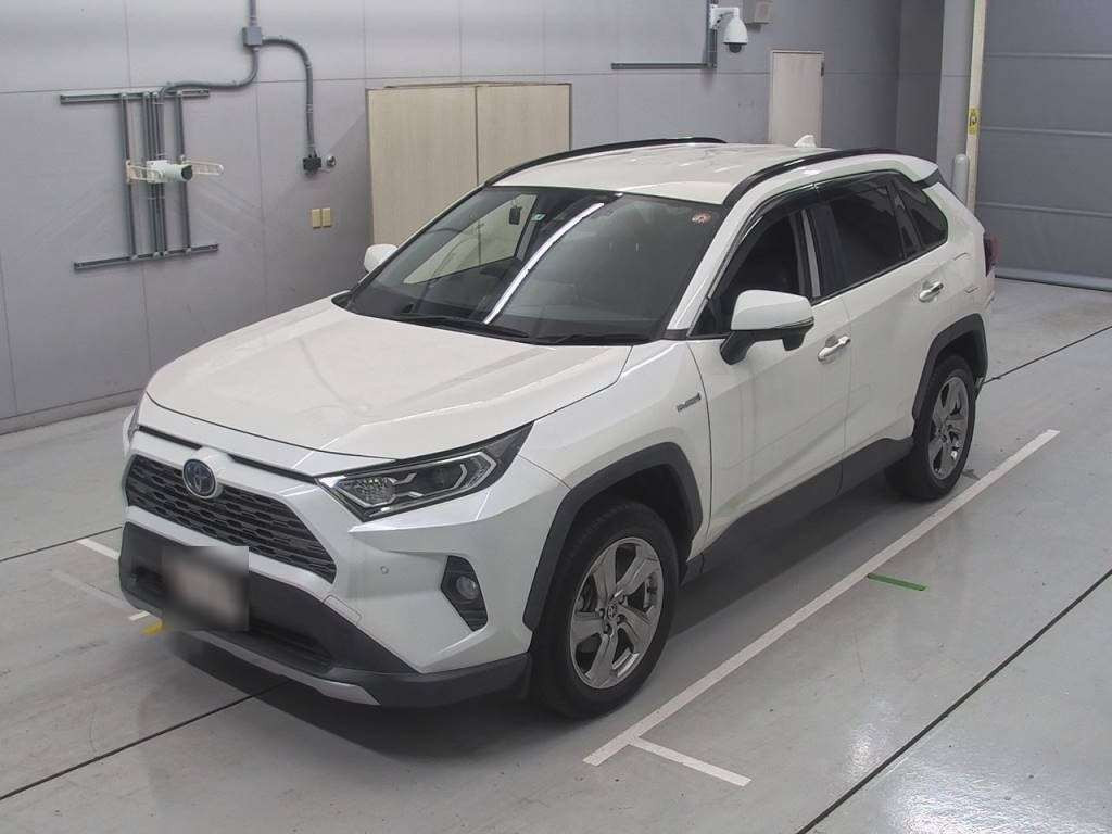 2019 Toyota RAV4 AXAH54[0]