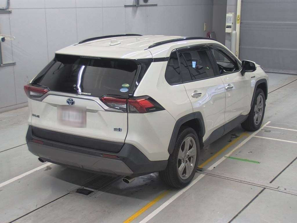 2019 Toyota RAV4 AXAH54[1]