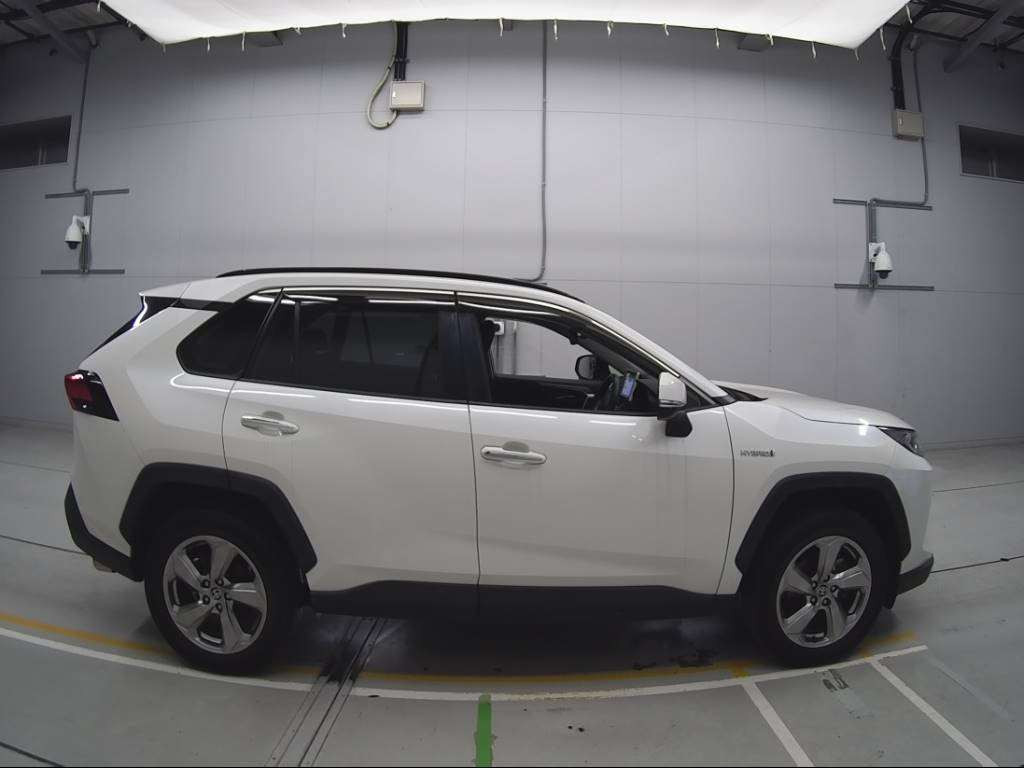 2019 Toyota RAV4 AXAH54[2]