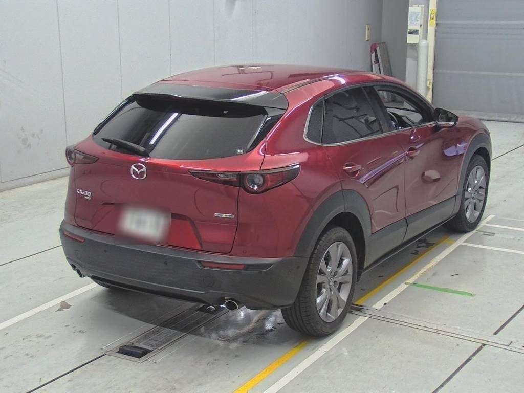 2019 Mazda CX-30 DM8P[1]