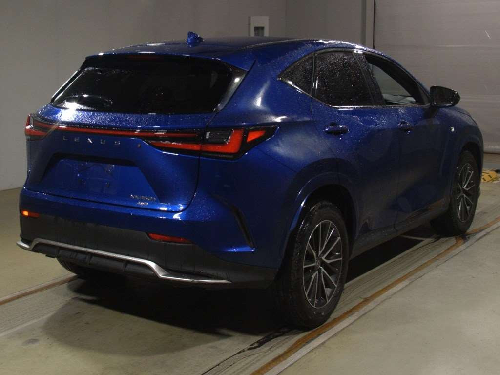 2021 Lexus NX AAZH25[1]