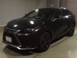 2020 Lexus NX