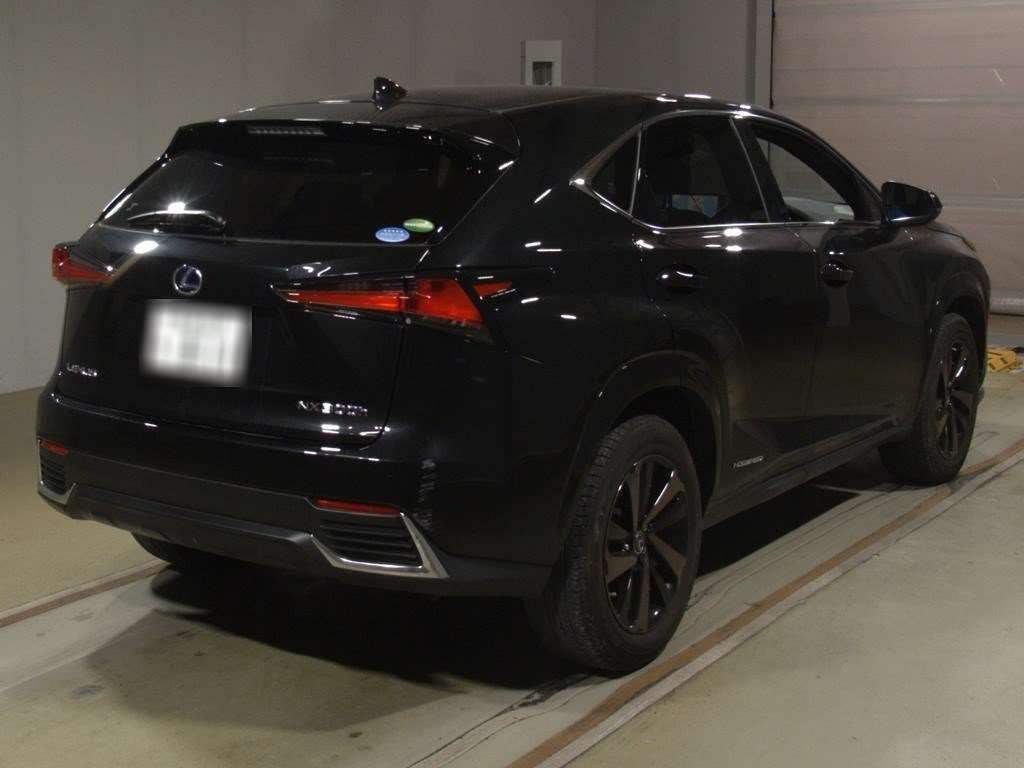 2020 Lexus NX AYZ10[1]