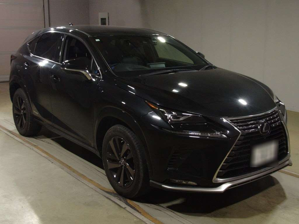 2020 Lexus NX AYZ10[2]