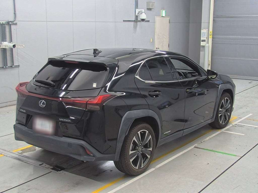 2019 Lexus UX MZAH10[1]