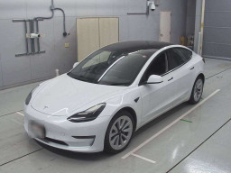 2021 Others MODEL 3