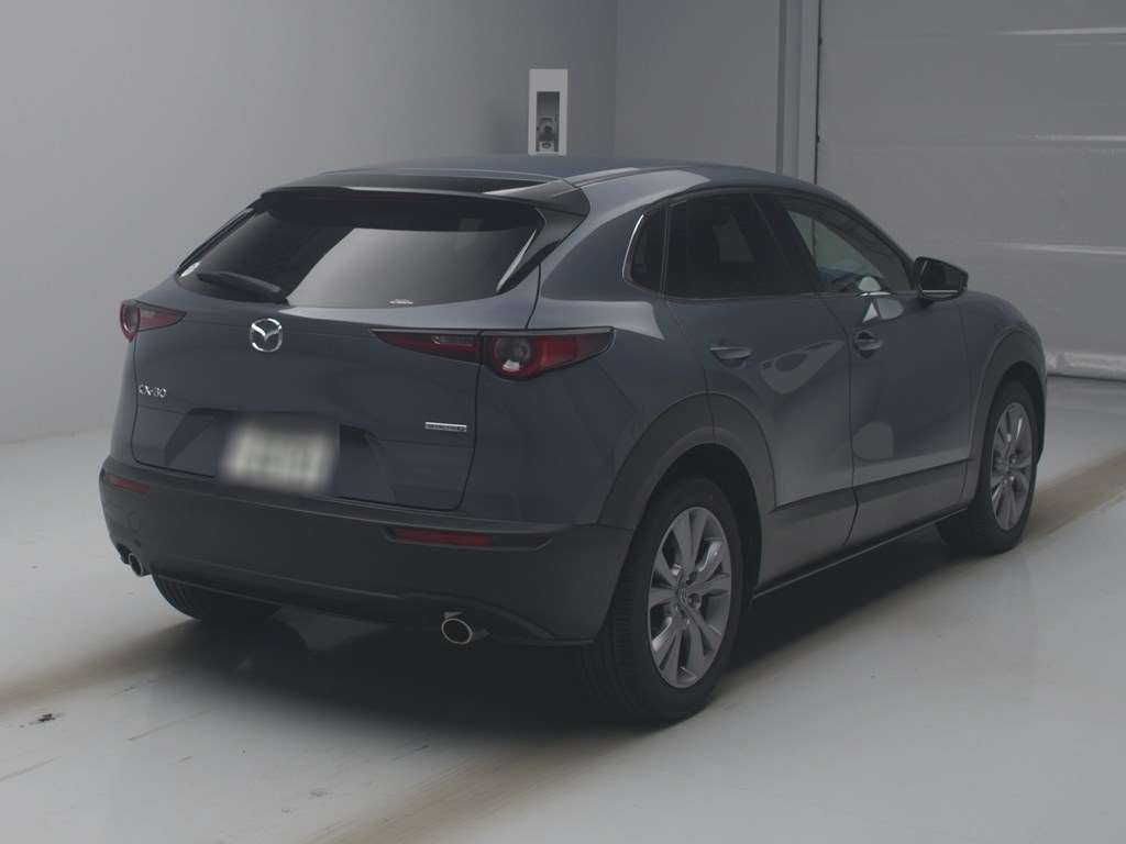 2022 Mazda CX-30 DMEP[1]