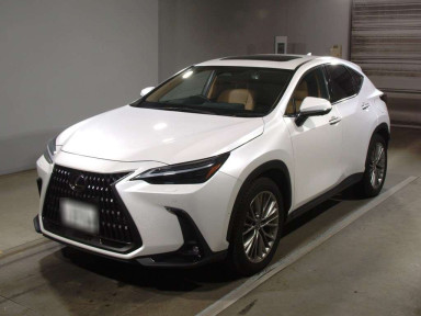 2023 Lexus NX