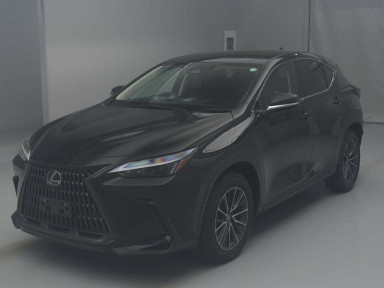 2024 Lexus NX