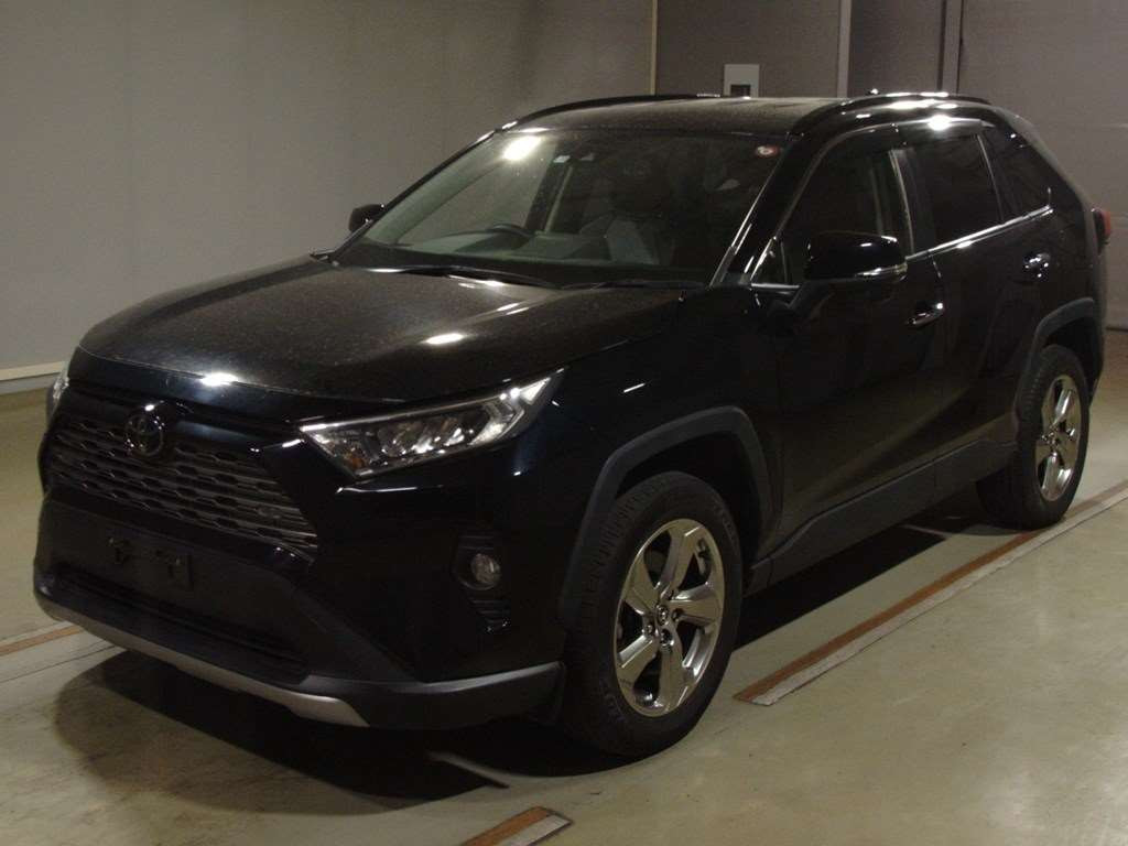 2019 Toyota RAV4 MXAA54[0]