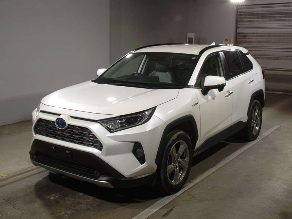 2020 Toyota RAV4 AXAH54[0]