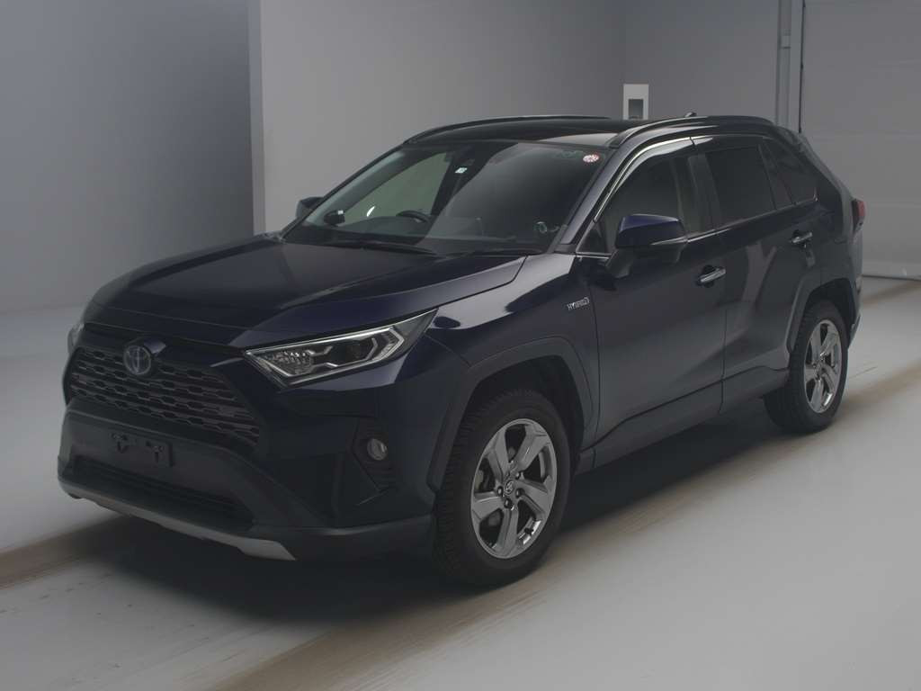 2019 Toyota RAV4 AXAH54[0]