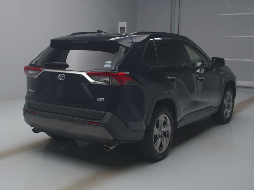 2019 Toyota RAV4 AXAH54[1]