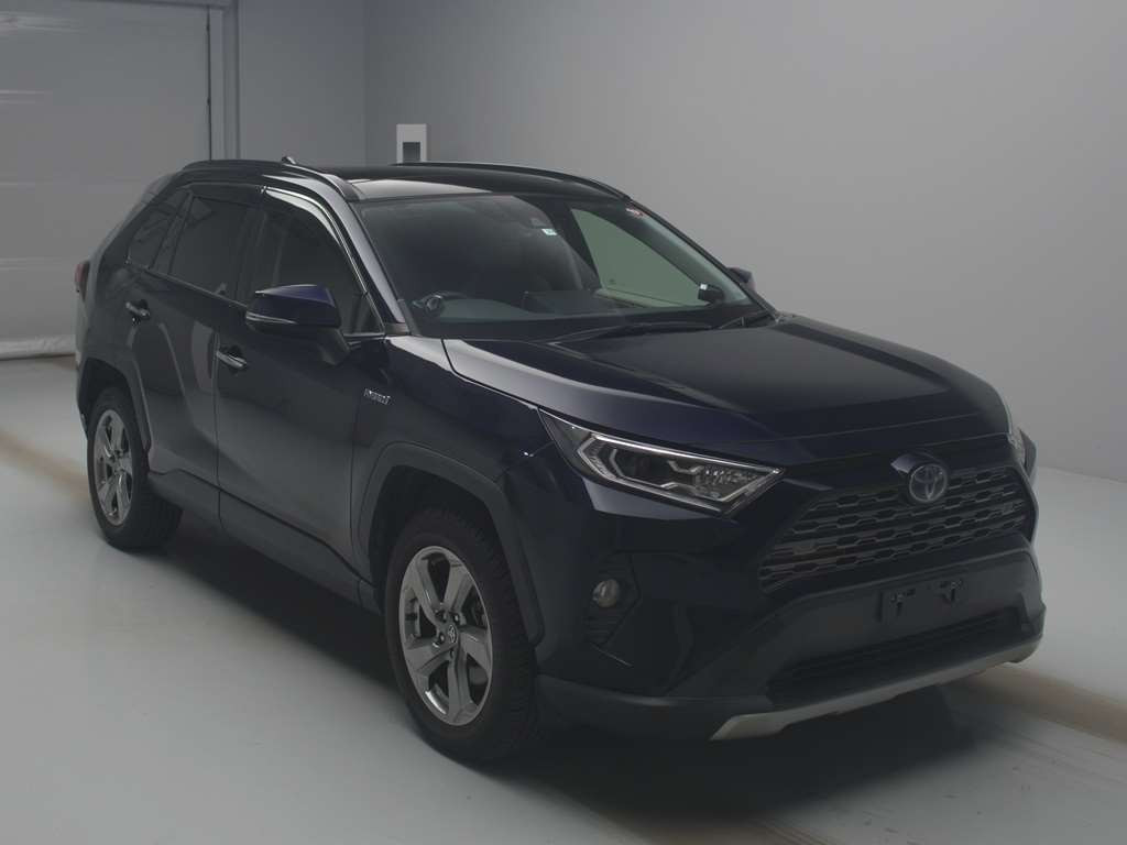 2019 Toyota RAV4 AXAH54[2]