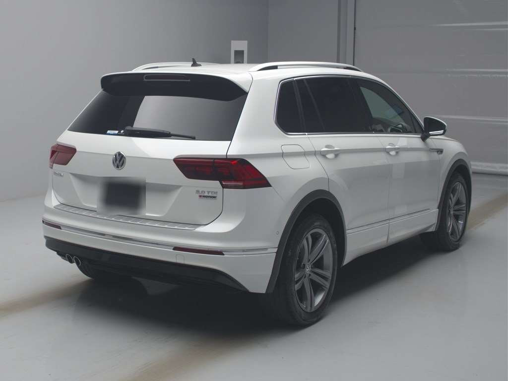 2019 Volkswagen Tiguan 5NDFGF[1]